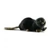 Image de Peluche Castor CouchÃ© 22 Cm Anima