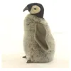 Image de Anima - Peluche Bebe Pingouin 23cm