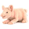 Image de Peluche Cochon CouchÃ© 33 Cm