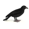 Image de Peluche Corbeau 18cmh