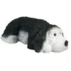 Image de Chien Bobtail - BÃ©bÃ©