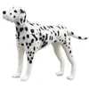 Image de Chien Dalmatien