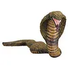 Image de Serpent - Cobra