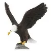 Image de Aigle Ã TÃªte Blanche