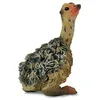 Image de Collecta Ostrich Chick (Sitting) Figure
