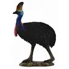 Image de Collecta Wildlife Southern Cassowary Toy Figure - Authentic Hand Painted Model