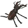 Image de Figurine : ScarabÃ©e Cerf-Volant