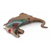Image de Collecta Tyrannosaurus Rex Corpse Dinosaur Toy