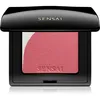 Image de Sensai Blooming Blush Blush Illuminateur Avec Pinceau Teinte 01 Blooming Mauve 4 G
