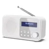 Image de Sharp DR-P420(WH) blanc (DAB, FM, DAB+ DAB, Bluetooth), Radio, Blanc