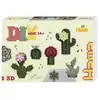 Image de Midi boite hama art cactus