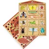 Image de Hôtel des insectes