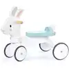 Image de Porteur lapin