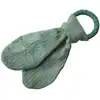 Image de Anneau de dentition leaf green