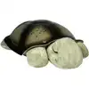 Image de Veilleuse Twilight Tortue Mocha