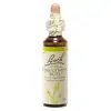 Image de Fleurs de Bach Bourgeon de Châtaignier (bourgeons de marronnier d'Inde) Apprendre de ses expériences 20ml