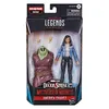 Image de Batman Hasbro Marvel Legends Series America Chavez