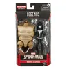 Image de Spiderman Marvel Legends Series Marvel's Shriek