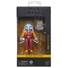 Image de HASBRO Star Wars  Black Series Neel (At Attin)