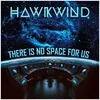 Image de There Is No Space For Us - Vinyle