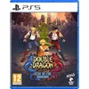 Image de Double Dragon Gaiden : Rise of the Dragons PS5