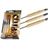 Image de FlÃ©chettes Club Brass Acier