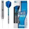 Image de FlÃ©chettes Genesis Tungsten soft 16g B