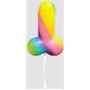 Image de Sucette Zizi Rainbow