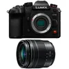 Image de PANASONIC Hybride LUMIX GH6 Noir + Objectif Lumix G Vario 12-60mm f/3.5-5.6 POWER OIS