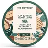Image de Gommages & peelings The Body Shop  Gommage Corps Karité P27541436