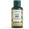 Image de Shampooings The Body Shop  Shampoing Au Gingembre P30323321