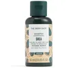 Image de Shampooings The Body Shop  Shea Champú P31443911
