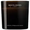 Image de Molton brown Bougie parfumée côtière au cyprès et au fenouil marin, 600 g