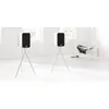 Image de Enceinte bibliothÃ¨que Q Acoustics Concept 300 Blanc & ChÃªne