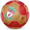 Image de Ballon 26 Panel England Team Merchandise Rouge Taille 5 LI08885
