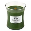 Image de Woodwick Vase sapin Frasier (sapin) - Bougie parfumée - 609,5 g