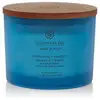 Image de Chesapeake bay candle Bougie Confiance & Liberté 312,0 g