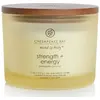 Image de Chesapeake bay candle Bougie Force & Énergie (trois mèches) - 312,0 g