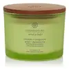 Image de Chesapeake bay candle Bougie Éveiller et Revigorer (Trois Mèches) - 312,0 g