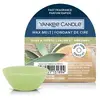 Image de YANKEE CANDLE CERA DA FONDERE WAX MELT SAGE & CITRUS