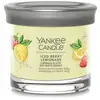Image de Yankee Candle Bougie tumbler Limonade aux baies glacées Signature - 567,0g