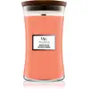 Image de Woodwick Pot de nectar de Manuka - 609,5 g