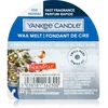 Image de Yankee Candle Cachette du Pôle Nord 22g