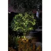 Image de Guirlande D'extÃ©rieur Luciole 200 Leds Blanc Chaud Smart Garden