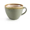 Image de Lot De 6 Tasses Couleur Mousse 228ml