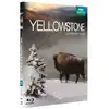 Image de Yellowstone, la lutte pour la vie