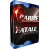 Image de L'Arme fatale - L'intégrale