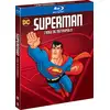 Image de Superman, l'ange de Metropolis - L'intégrale de la série animée