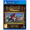 Image de Harry Potter : Champions de Quidditch Deluxe Edition PS4