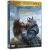 Image de Room